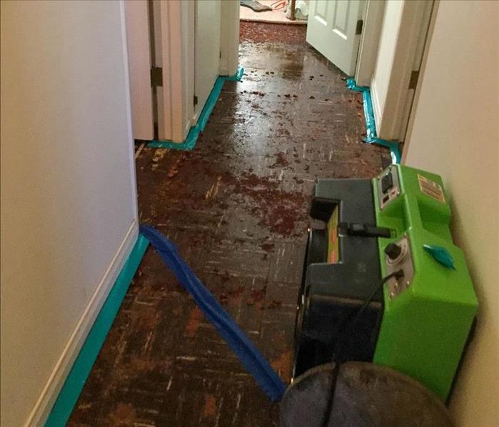 Water damage on hallway floor. 