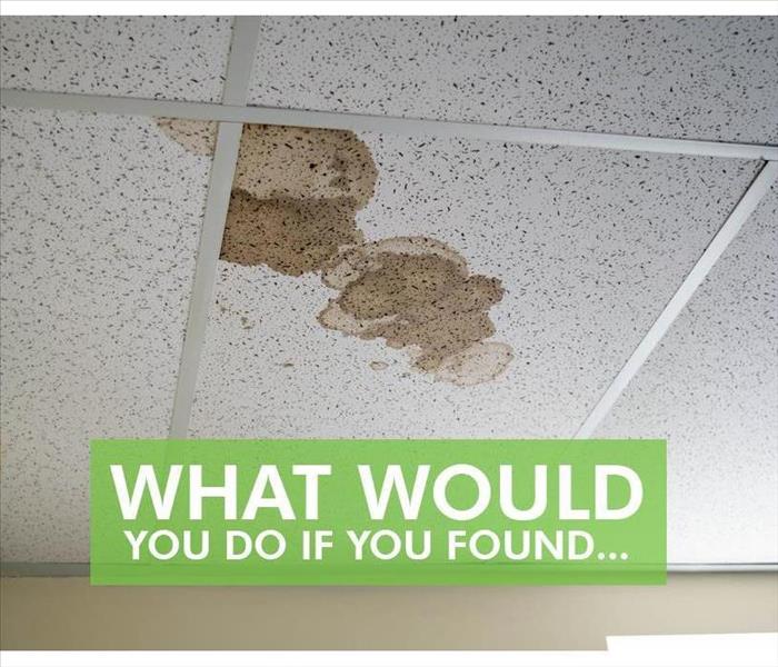 Stained ceiling with the words WHAT WOULD YOU DO IF YOU FOUND
