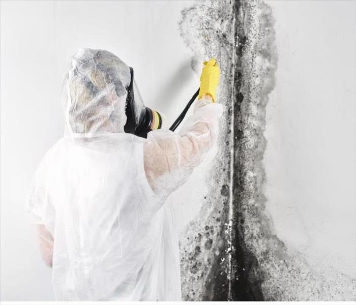A professional in coveralls processes the walls full of black mold.