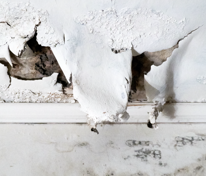 mold drywall damage