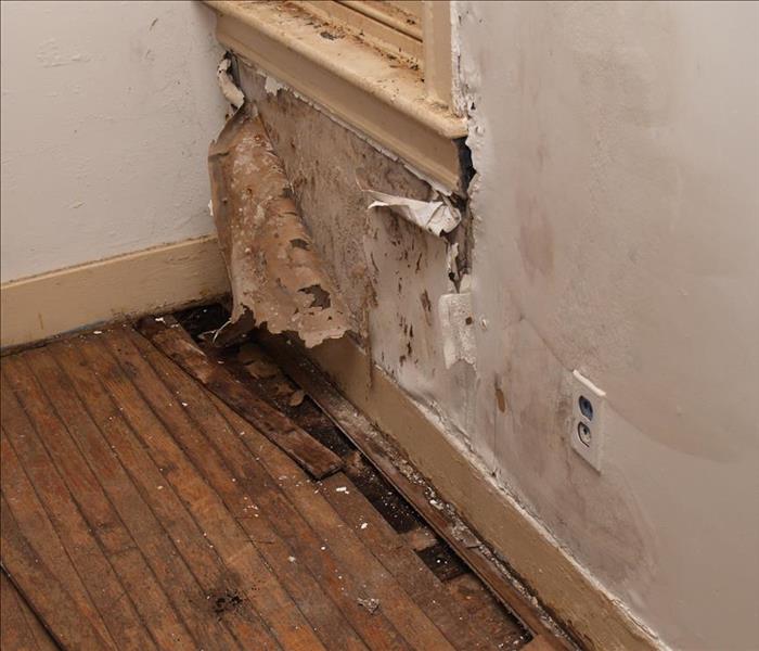 Warped walls and wooden floor damaged